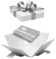 voorbeeld cadeaukaart verpakking doos met strik verrassing